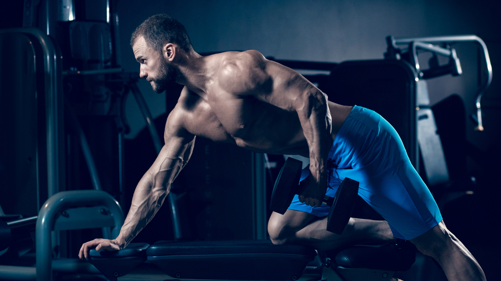 Ultimate Supplement Stack - Protein, Creatine, BCAAs, and Glutamine